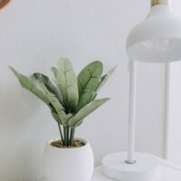 成年後見・任意後見